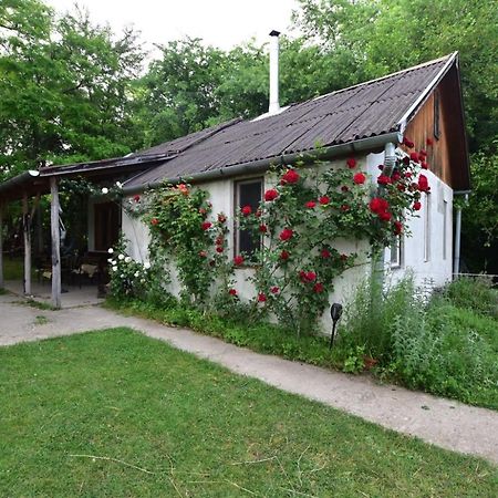 Igricz Farmhaz Villa Pocsmegyer Luaran gambar